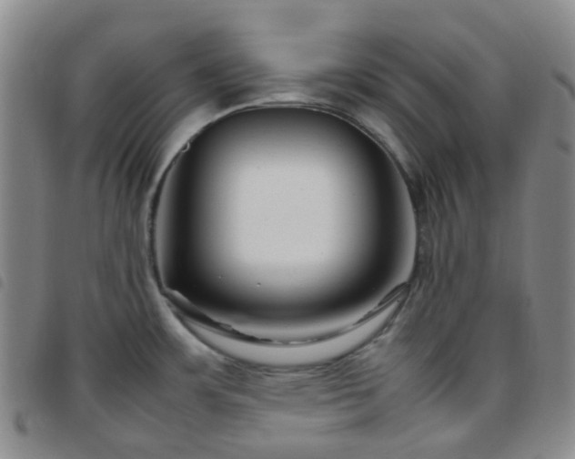 X0000097781483200803141756