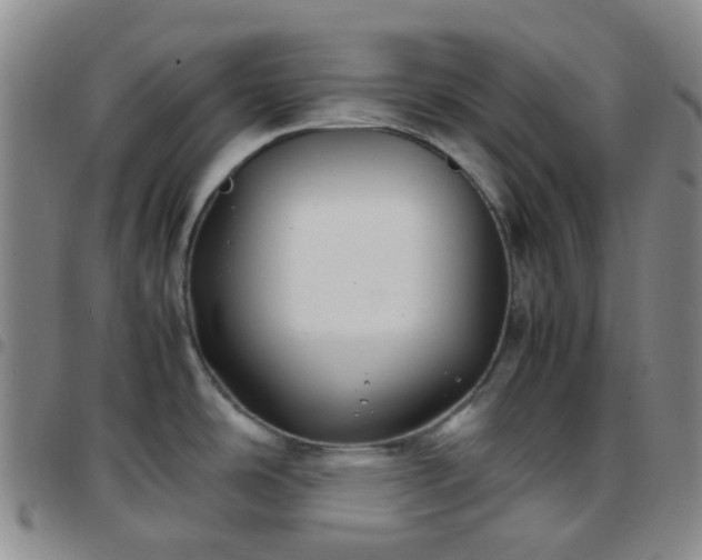 X0000097781486200803141756