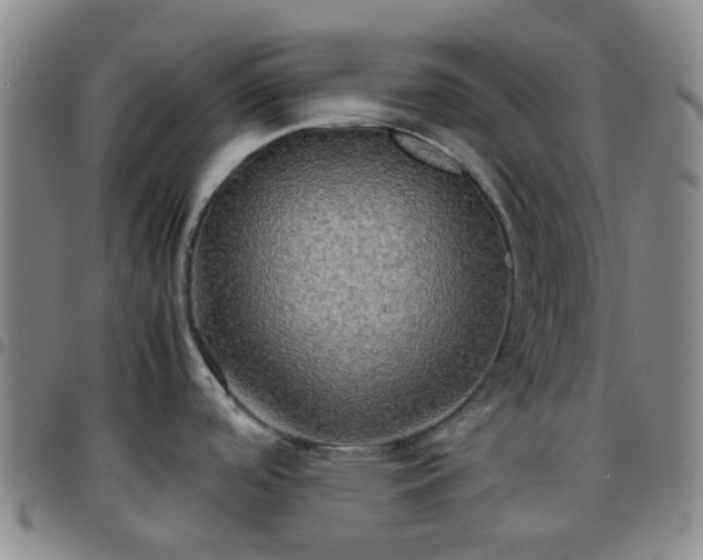 X0000097781488200803141756