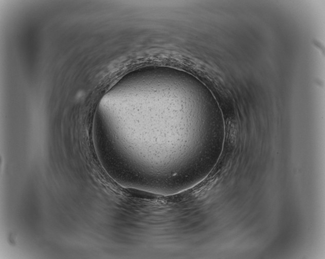 X0000097781489200803141755