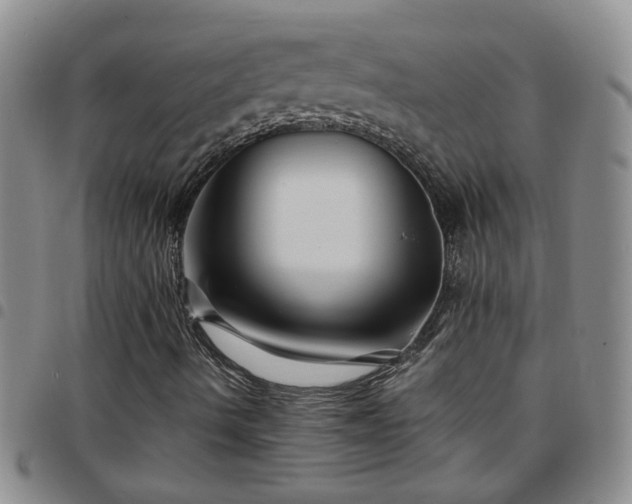 X0000097781490200803141755