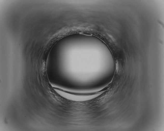X0000097781492200803141755