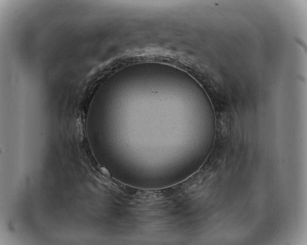 X0000097781493200803141755