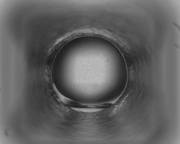 X0000097781494200803141755