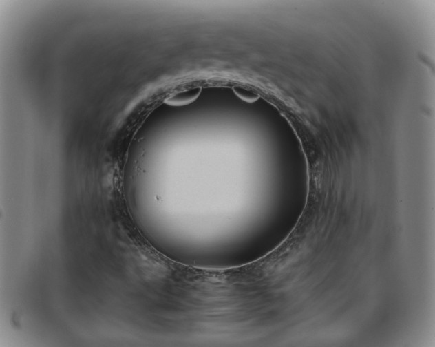 X0000097781495200803141755