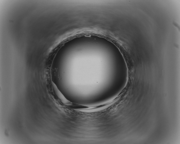X0000097781496200803141755