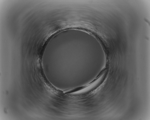 X0000097781497200803141755