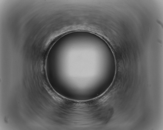 X0000097781499200803141756