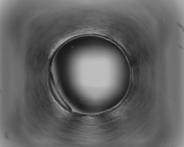 X0000097781500200803141756