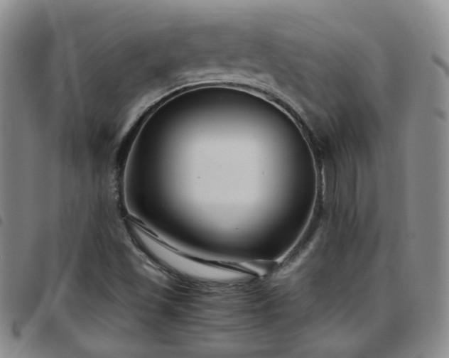 X0000097781501200803141756