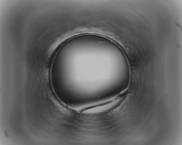 X0000097781503200803141756