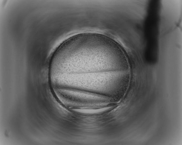 X0000097781504200803141756