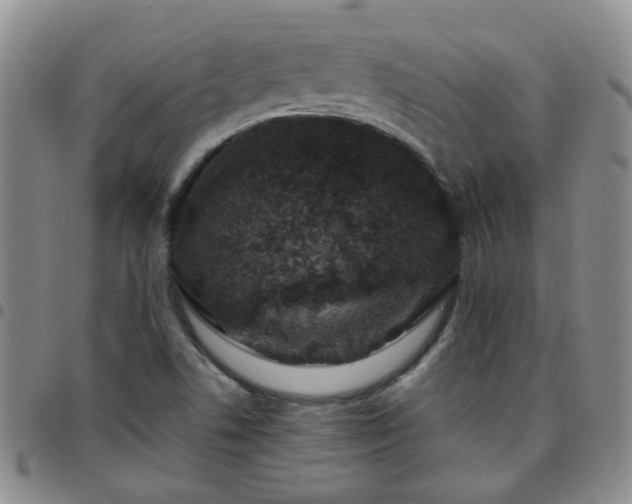 X0000097781506200803141756