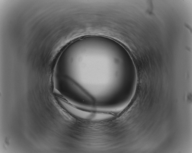 X0000097781507200803141756
