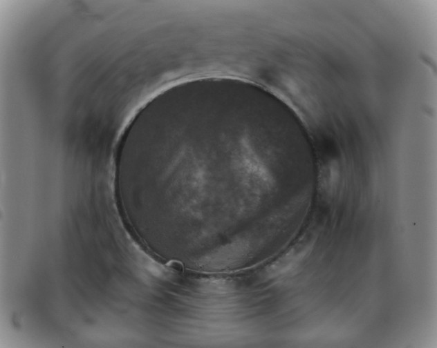 X0000097781508200803141756