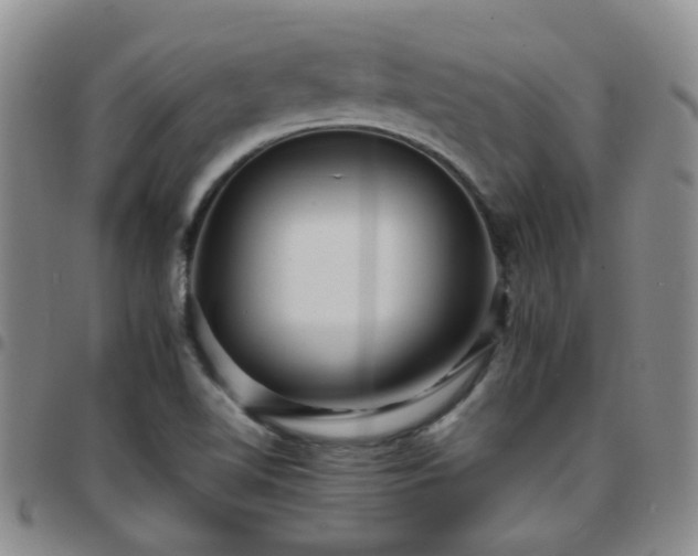 X0000097781510200803141756