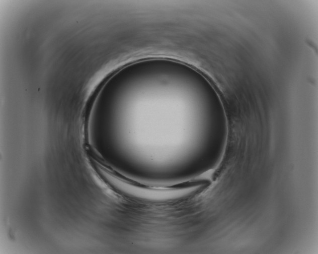 X0000097781511200803141756