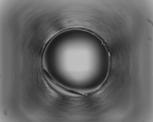 X0000097781513200803141756
