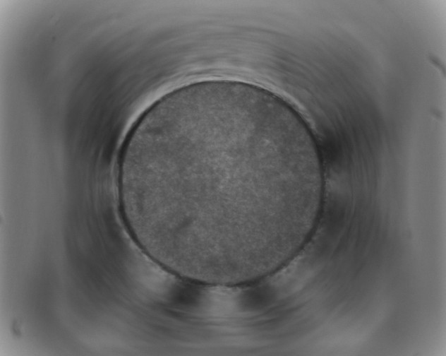 X0000097781514200803141756