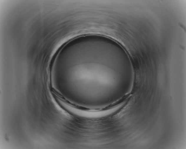 X0000097781515200803141756