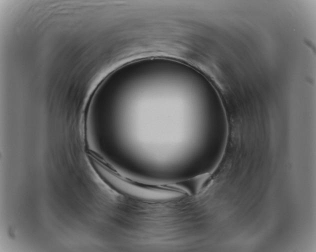 X0000097781516200803141756