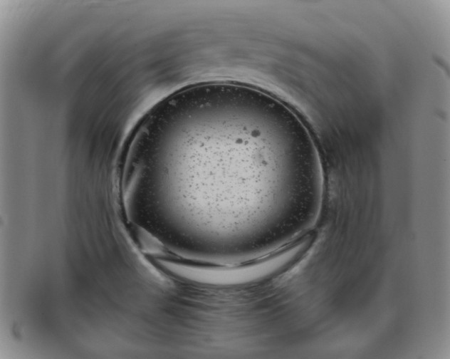 X0000097781517200803141756