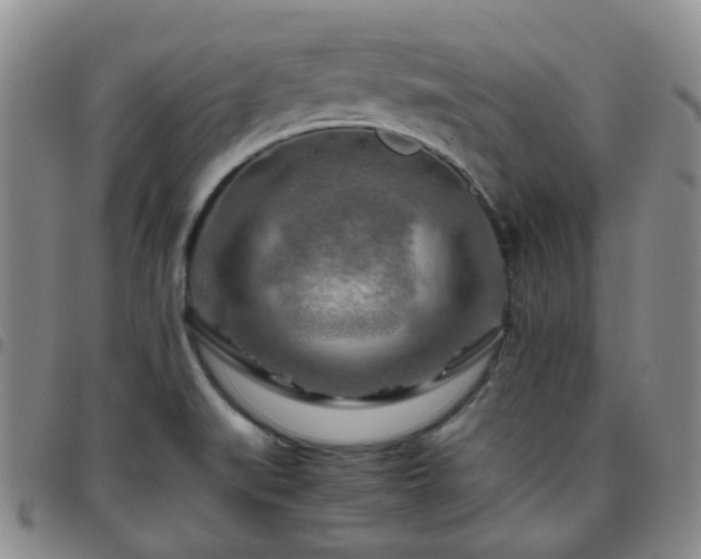 X0000097781519200803141756