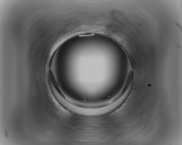X0000097781520200803141756