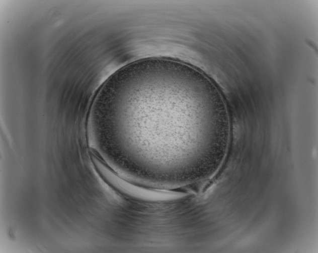 X0000097781521200803141756