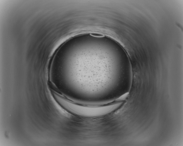 X0000097781523200803141756