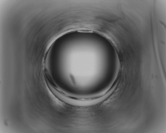 X0000097781524200803141756