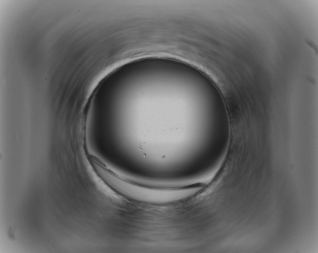 X0000097781526200803141756