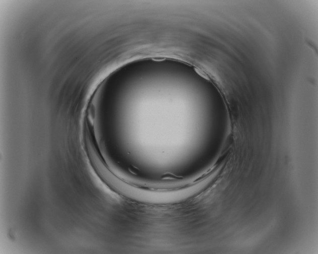 X0000097781528200803141756