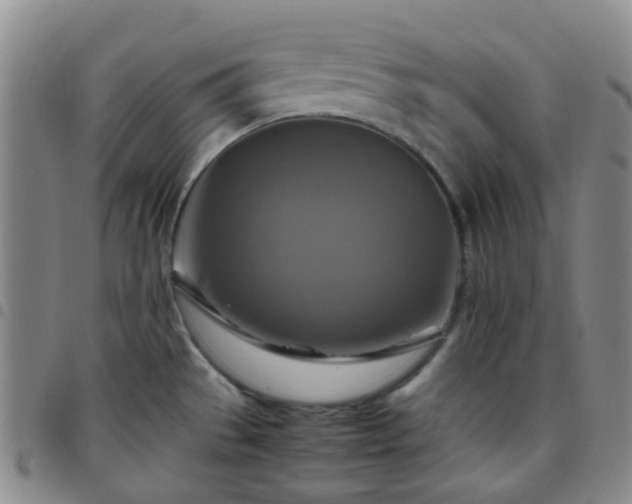 X0000097781529200803141756