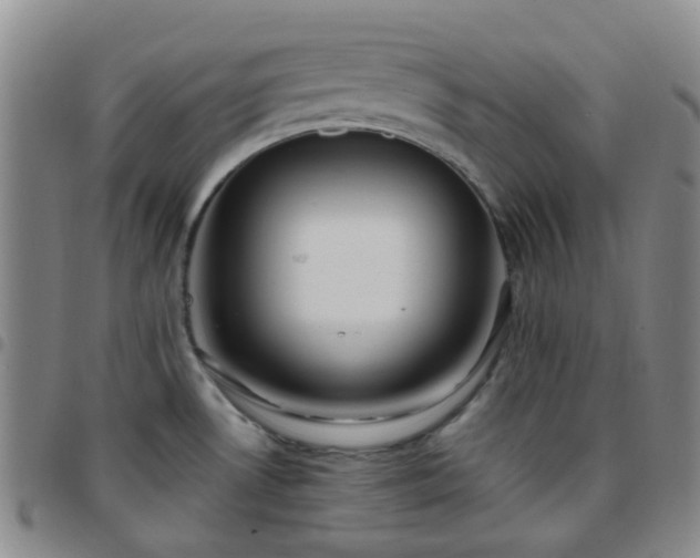 X0000097781530200803141756