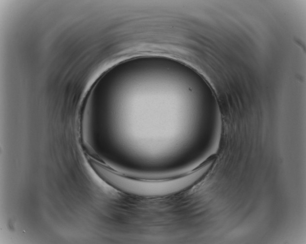 X0000097781531200803141756