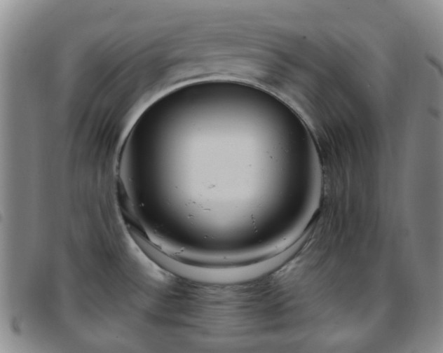 X0000097781532200803141756