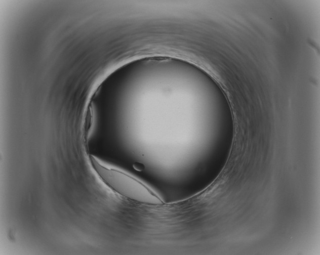 X0000097781536200803141756