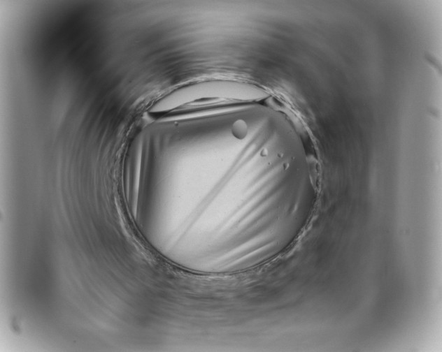 X0000097780001200803211809