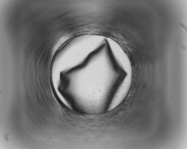 X0000097780003200803211809