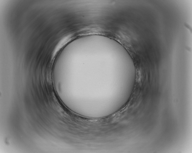 X0000097780004200803211809