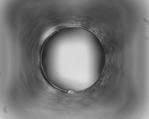 X0000097780005200803211809