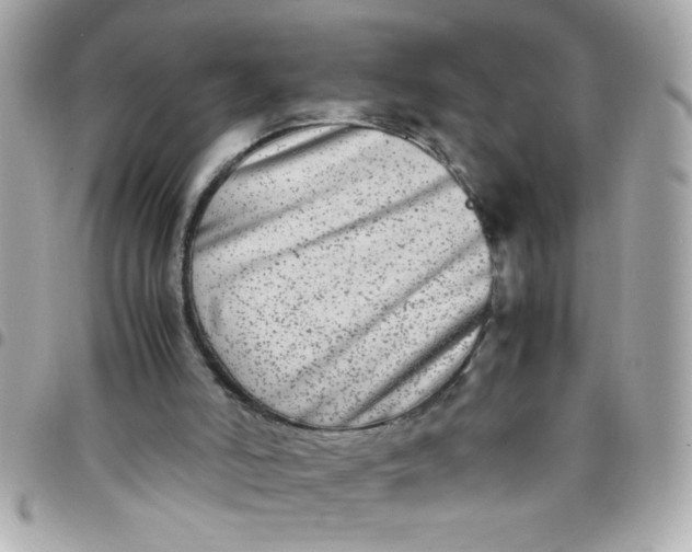 X0000097780006200803211809