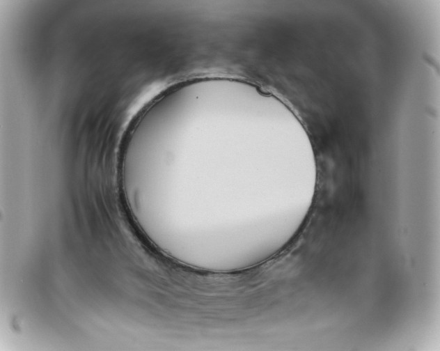 X0000097780008200803211809