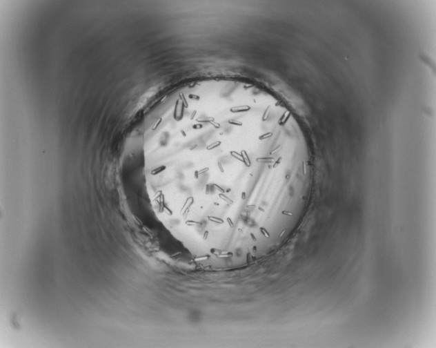 X0000097780009200803211809