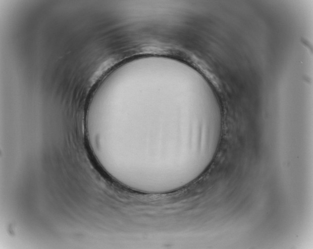 X0000097780011200803211809