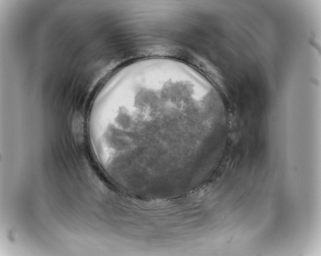 X0000097780012200803211809