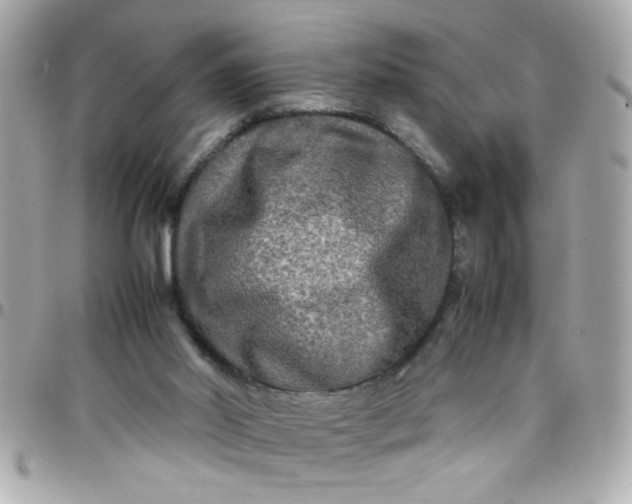 X0000097780014200803211809