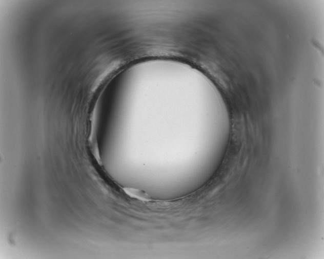 X0000097780015200803211809