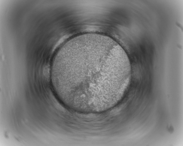 X0000097780016200803211809